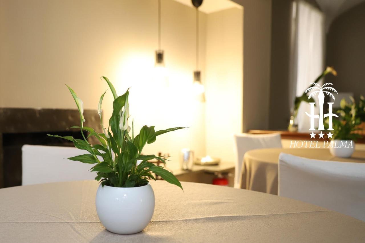 Hotel Palma 3*